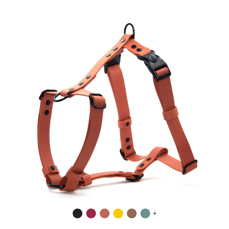 Ūdensizturīgi iemaukti suņiem