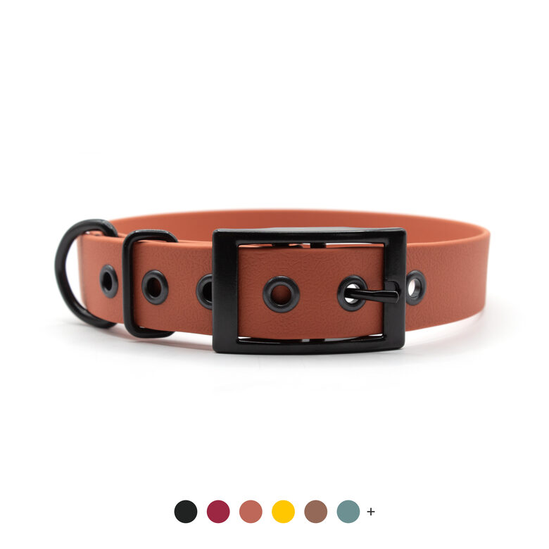 Waterproof collar with a black metal double buckle
