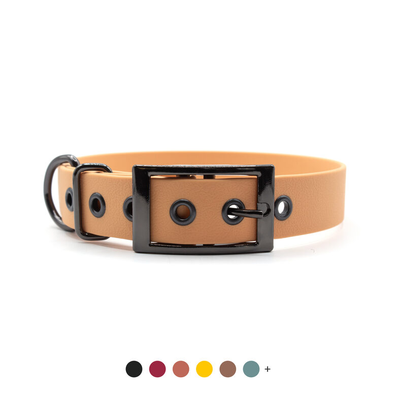 Waterproof collar strap with a gray metal double buckle