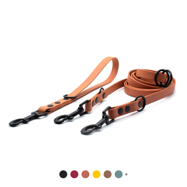 Multifunctional leash "All in one"