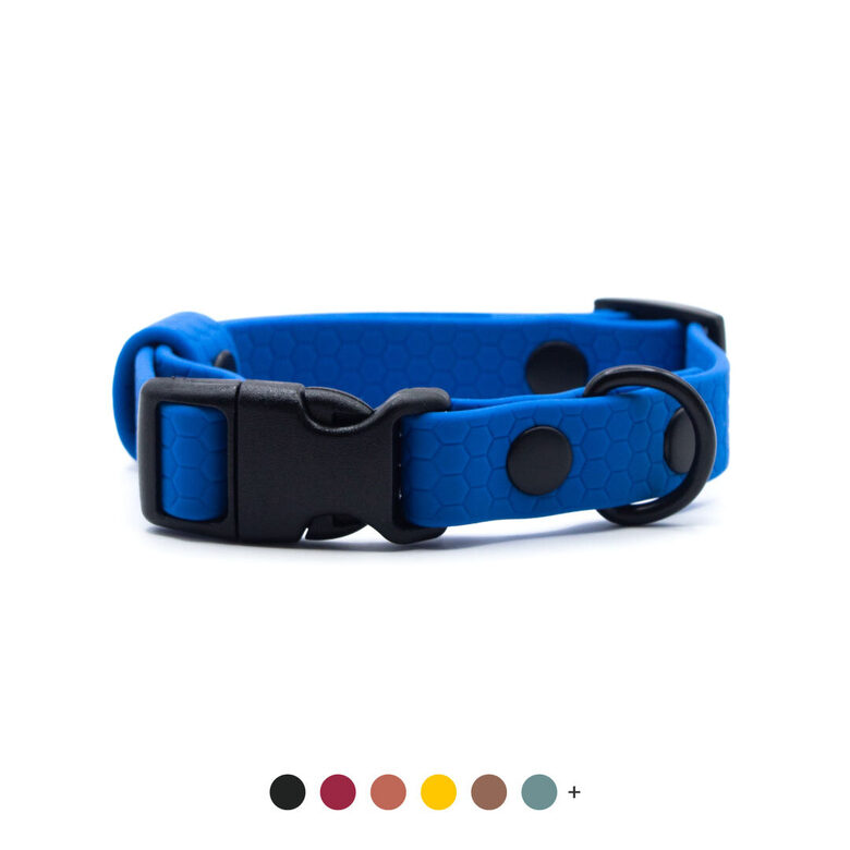Small size collar with a plastic side-release buckle, PVC Hexa coating.