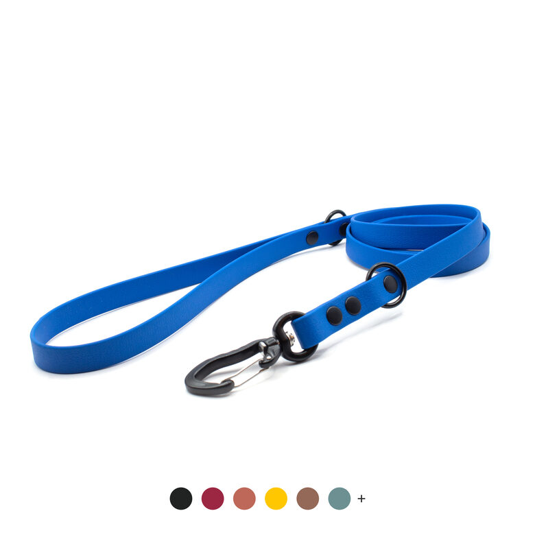 Ūdensizturīga pavada suņiem ar melnu alumīnija karabīni