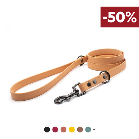 Ūdensizturīga pavada ar pelēku metāla karabīni