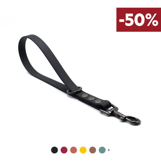 Īsā treniņu pavada ar pelēku metāla karabīni