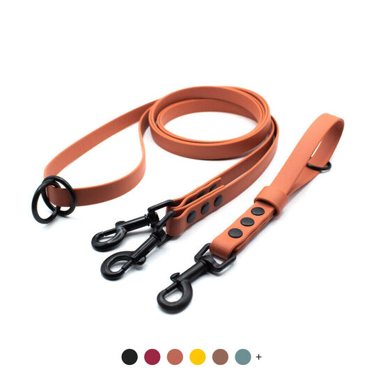 Multifunctional leash + traffic leash for 2 dogs