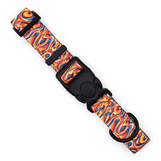 Collar - Special offer