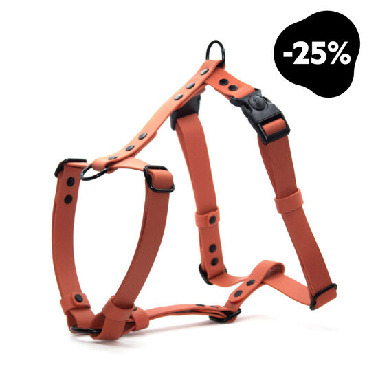 Ūdensizturīgi iemaukti suņiem