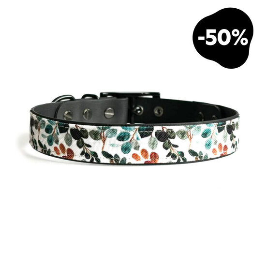 Kakla siksna "Oasis"