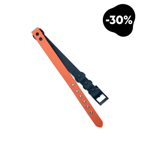 Divu toņu ūdensizturīga kakla siksna