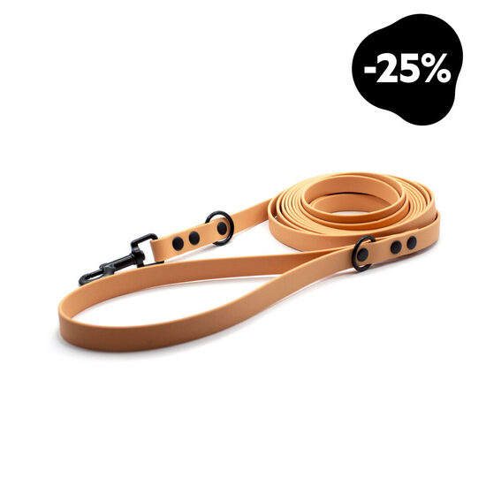 Ūdensizturīga pavada suņiem