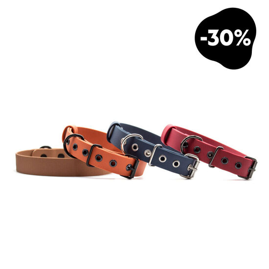 Ūdensizturīga kaklasiksna suņiem ar rullīšu sprādzi