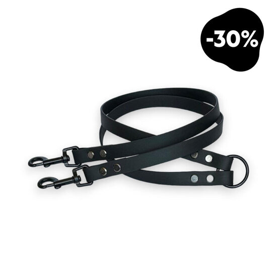 Pavadas sadalītājs 2 suņiem