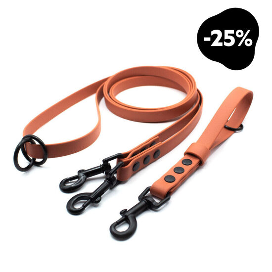 Multifunkcionālā pavada / Pavada 2 suņiem