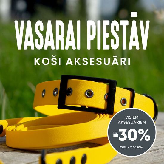 VISIEM aksesuāriem atlaides līdz -30%!