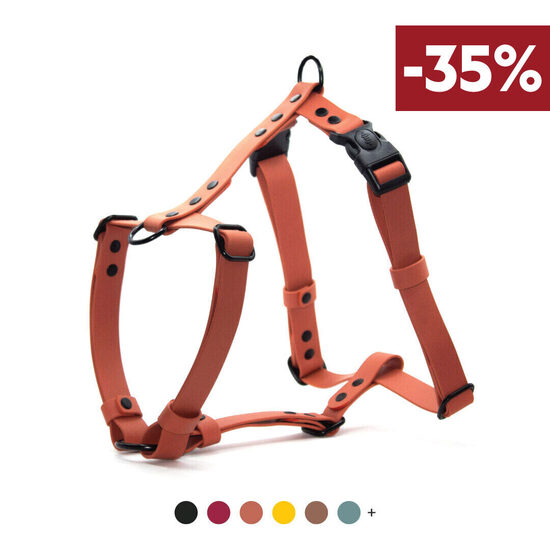 Ūdensizturīgi iemaukti suņiem