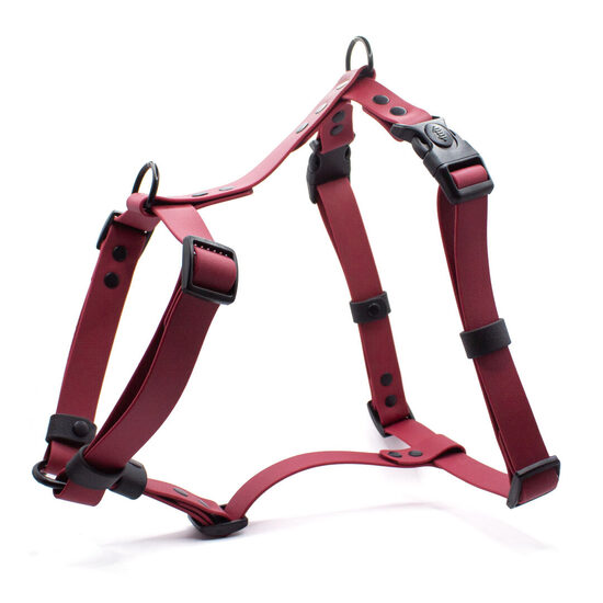 Ūdensizturīgi iemaukti suņiem