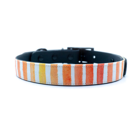 Kakla siksna "Stripes"