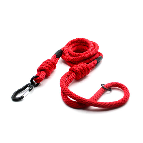 Classic style leash