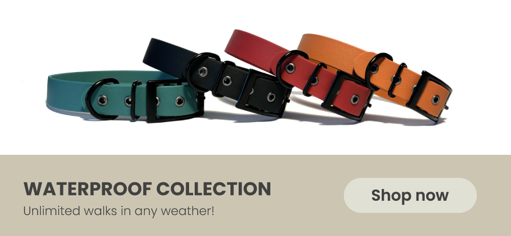 Waterproof collars and leashes