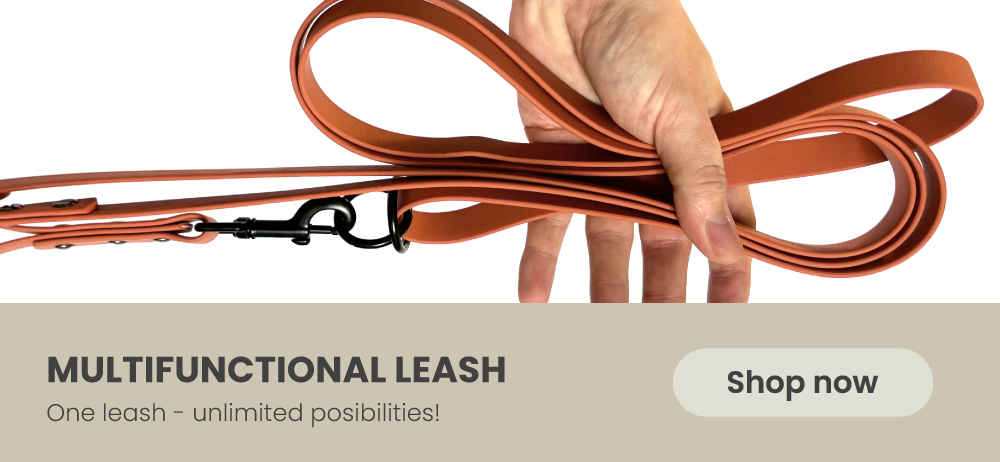 Multifunctional leash for dogs