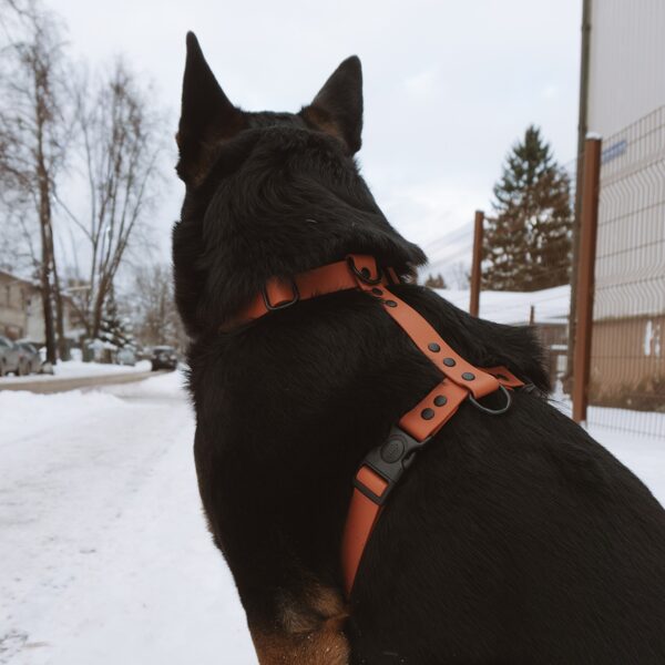Waterproof harnesses for dogs