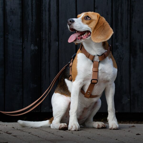 Waterproof harnesses for dogs