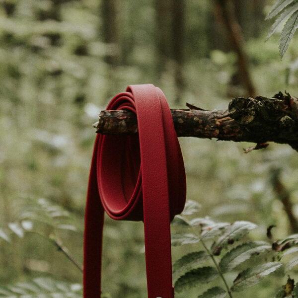 Waterproof leash in wine red color