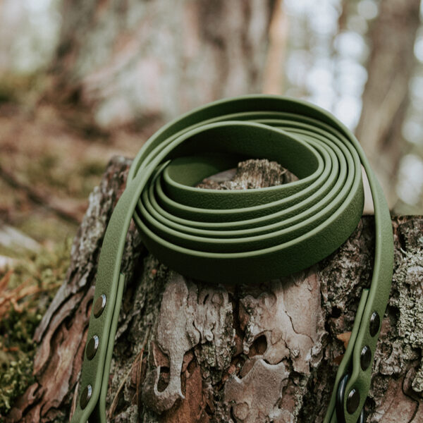 Waterproof leash in Olive Green color